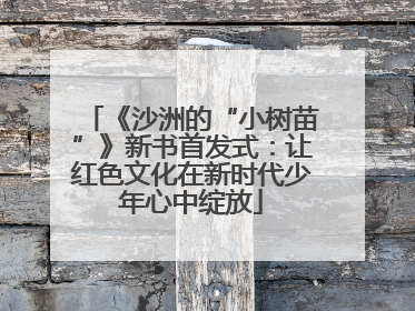 《沙洲的“小树苗”》新书首发式：让红色文化在新时代少年心中绽放