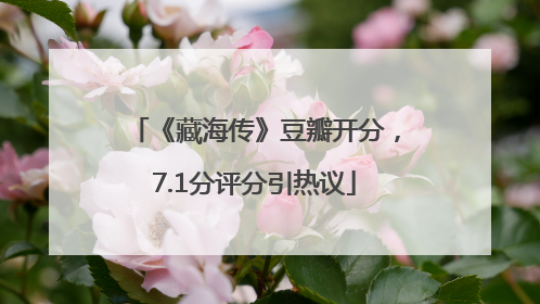 《藏海传》豆瓣开分，7.1分评分引热议