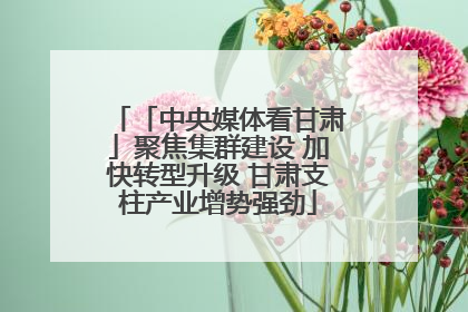 「中央媒体看甘肃」聚焦集群建设 加快转型升级 甘肃支柱产业增势强劲