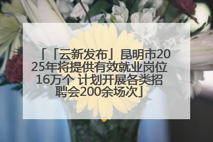 「云新发布」昆明市2025年将提供有效就业岗位16万个 计划开展各类招聘会200余场次