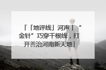 「地评线」河声丨“金针”巧穿千根线，打开善治河南新天地