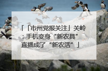 「市州党报关注」关岭：手机变身“新农具” 直播成了“新农活”