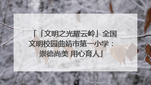 「文明之光耀云岭」全国文明校园曲靖市第一小学：崇德尚美 用心育人