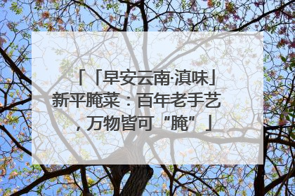 「早安云南·滇味」新平腌菜：百年老手艺，万物皆可“腌”