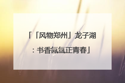 「风物郑州」龙子湖：书香氤氲正青春