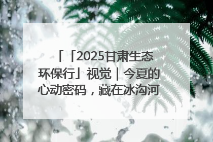 「2025甘肃生态环保行」视觉｜今夏的心动密码，藏在冰沟河的潋滟波光里