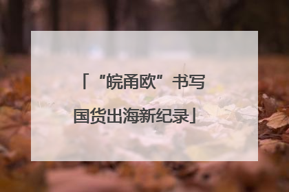 “皖甬欧”书写国货出海新纪录