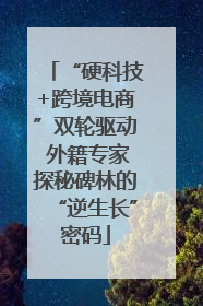 “硬科技+跨境电商”双轮驱动 外籍专家探秘碑林的“逆生长”密码