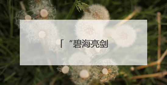 “碧海亮剑”守护平安