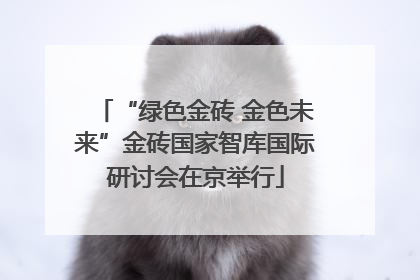 “绿色金砖 金色未来”金砖国家智库国际研讨会在京举行