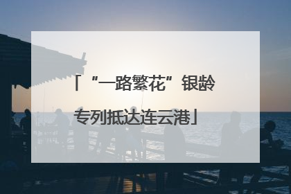 “一路繁花”银龄专列抵达连云港