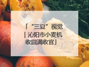 “三夏”视觉｜沁阳市小麦机收圆满收官