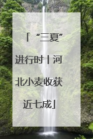 “三夏”进行时丨河北小麦收获近七成