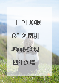 “中原粮仓”河南耕地面积实现四年连增