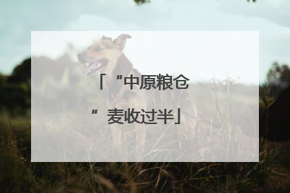 “中原粮仓”麦收过半