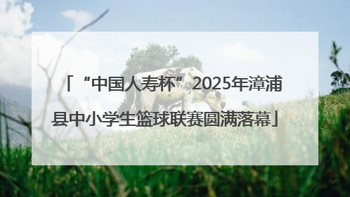 “中国人寿杯”2025年漳浦县中小学生篮球联赛圆满落幕