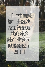 “中国辣都”主题沙龙集智聚力 共商萍乡辣产业多元赋能路径（图）