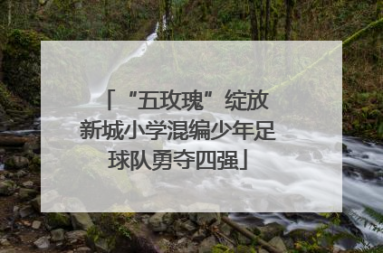 “五玫瑰”绽放 新城小学混编少年足球队勇夺四强