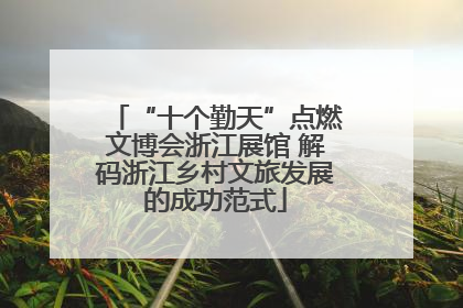 “十个勤天”点燃文博会浙江展馆 解码浙江乡村文旅发展的成功范式
