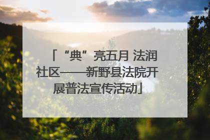 “典”亮五月 法润社区——新野县法院开展普法宣传活动