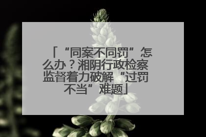 “同案不同罚”怎么办？湘阴行政检察监督着力破解“过罚不当”难题