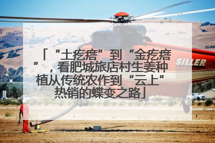 “土疙瘩”到“金疙瘩”，看肥城旅店村生姜种植从传统农作到“云上”热销的蝶变之路