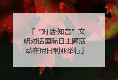 “对话·知音”文明对话国际日主题活动在尼日利亚举行