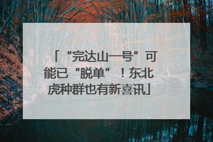 “完达山一号”可能已“脱单”！东北虎种群也有新喜讯