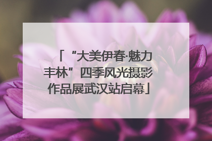 “大美伊春·魅力丰林”四季风光摄影作品展武汉站启幕