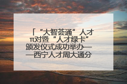 “大智荟通”人才π对暨“人才绿卡”颁发仪式成功举办——西宁人才周大通分会场亮点纷呈
