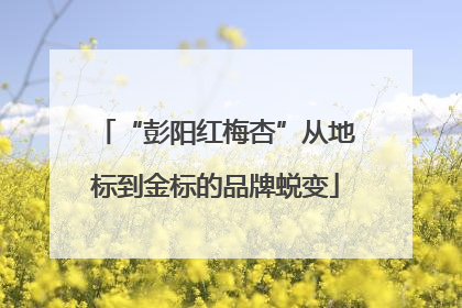 “彭阳红梅杏”从地标到金标的品牌蜕变