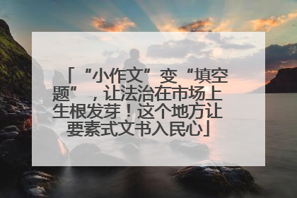 “小作文”变“填空题”，让法治在市场上生根发芽！这个地方让要素式文书入民心