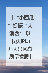“小西瓜”提振“大消费” 以节庆IP助力大兴区高质量发展
