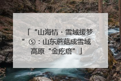 “山海情・雪域援梦”⑤：山东蘑菇成雪域高原“金疙瘩”