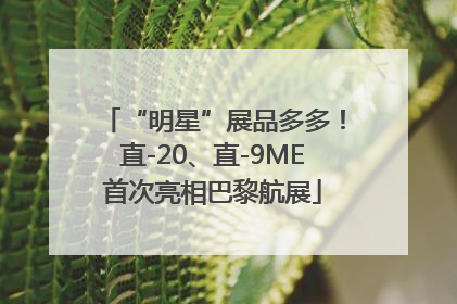 “明星”展品多多！直-20、直-9ME首次亮相巴黎航展