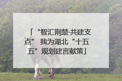 “智汇荆楚·共建支点” 我为湖北“十五五”规划建言献策