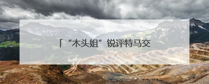 “木头姐”锐评特马交锋：争吵揭开了马斯克公司有多依赖政府合同