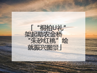 “桐柏U礼”架起助农金桥 “朱砂红桃”绘就振兴图景