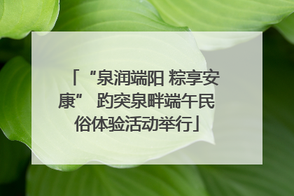 “泉润端阳 粽享安康” 趵突泉畔端午民俗体验活动举行