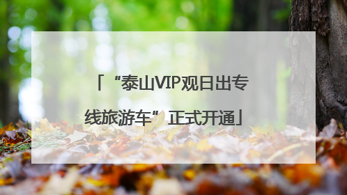 “泰山VIP观日出专线旅游车”正式开通