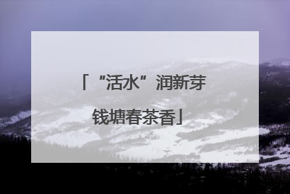 “活水”润新芽 钱塘春茶香