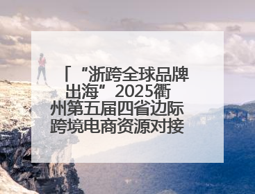 “浙跨全球品牌出海”2025衢州第五届四省边际跨境电商资源对接活动成功举办