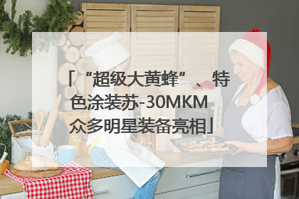 “超级大黄蜂”、特色涂装苏-30MKM 众多明星装备亮相