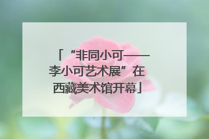 “非同小可——李小可艺术展”在西藏美术馆开幕