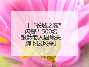 “长城之夜”闪耀！500名银龄老人居庸关脚下展风采