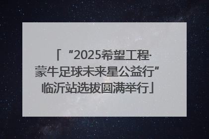 “2025希望工程·蒙牛足球未来星公益行”临沂站选拔圆满举行