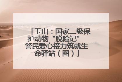 玉山：国家二级保护动物“脱险记” 警民爱心接力筑就生命驿站（图）