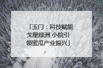 玉门：科技赋能戈壁绿洲 小院引领蜜瓜产业振兴