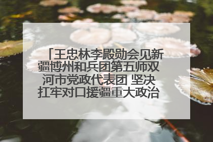 王忠林李殿勋会见新疆博州和兵团第五师双河市党政代表团 坚决扛牢对口援疆重大政治责任 推动双方实现优势互补务实合作