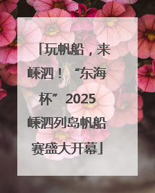玩帆船，来嵊泗！“东海杯”2025嵊泗列岛帆船赛盛大开幕